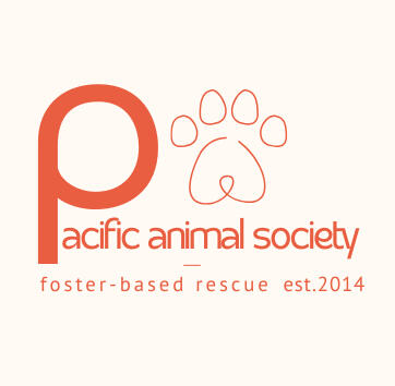 Pet Adoption