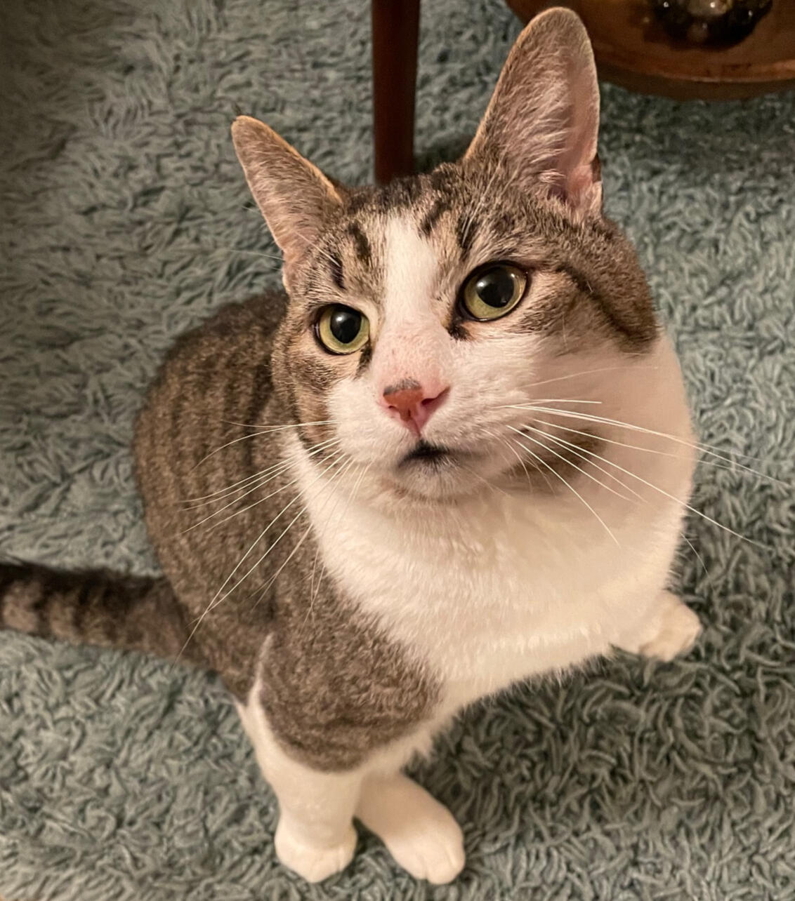 Larry says hi!